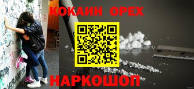 сатива Лесосибирск